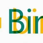 Bing的优化技巧，你知道吗